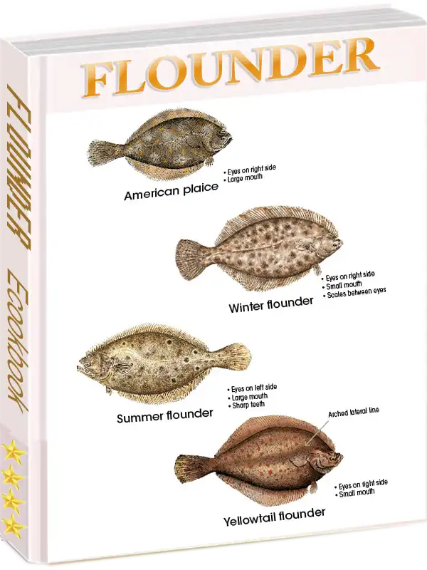 flounder